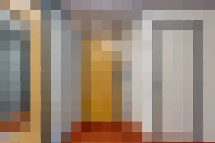 Dijkmanschans 138 Zoetermeer thumbnail 23