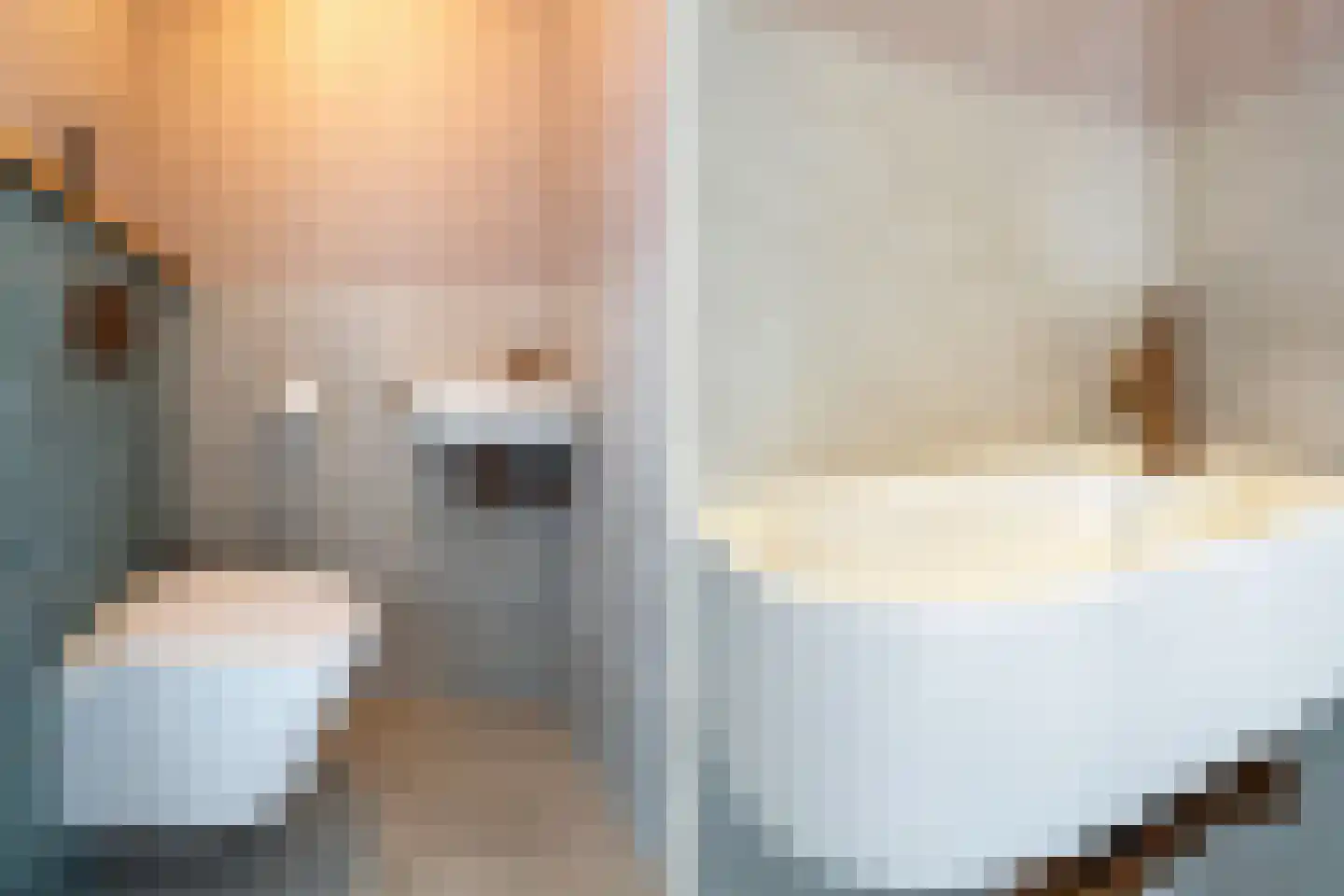 Dijkmanschans 138 Zoetermeer thumbnail 34