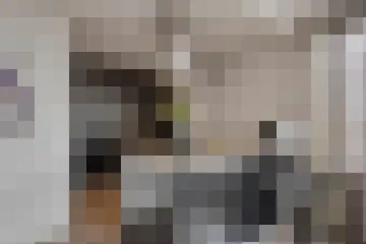 Dijkmanschans 138 Zoetermeer thumbnail 7
