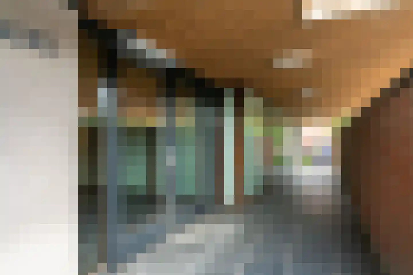 Dijkmanschans 14 Zoetermeer thumbnail 10