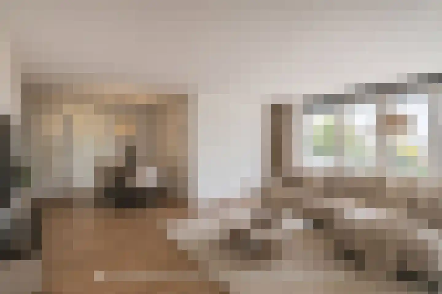 Dijkmanschans 14 Zoetermeer thumbnail 19