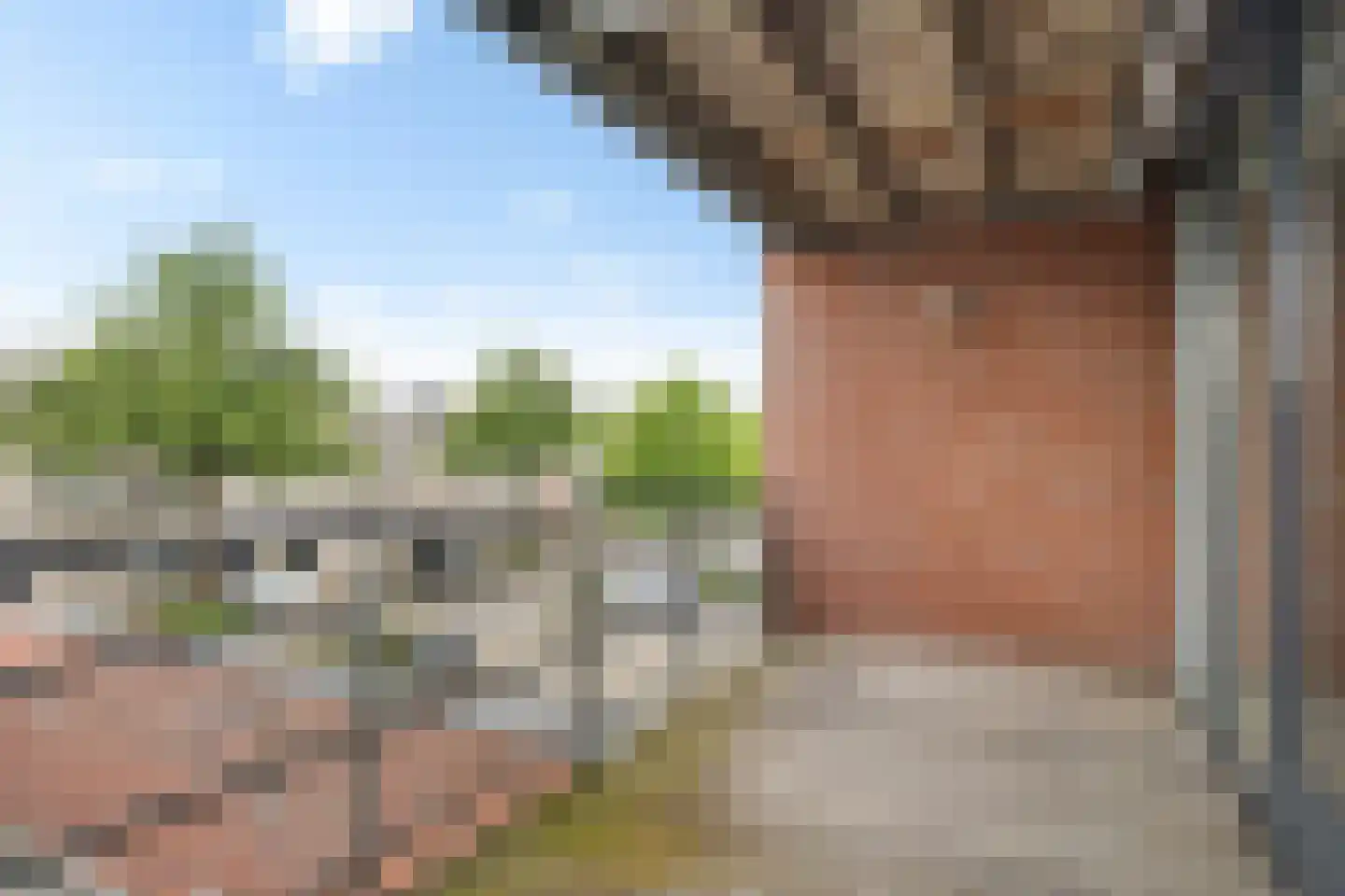 Dijkmanschans 14 Zoetermeer thumbnail 24