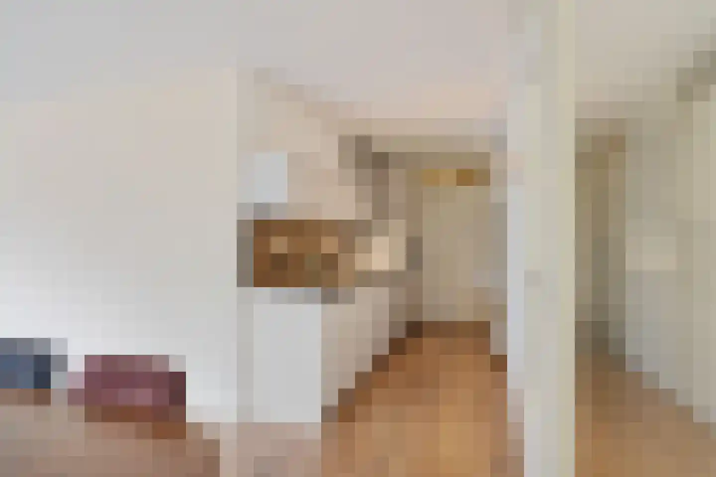 Dijkmanschans 14 Zoetermeer thumbnail 26