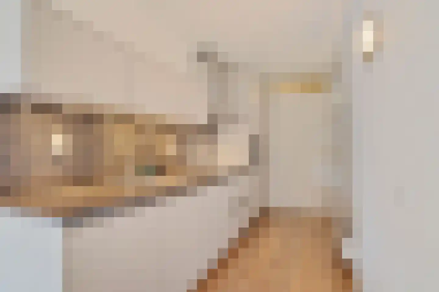 Dijkmanschans 14 Zoetermeer thumbnail 27