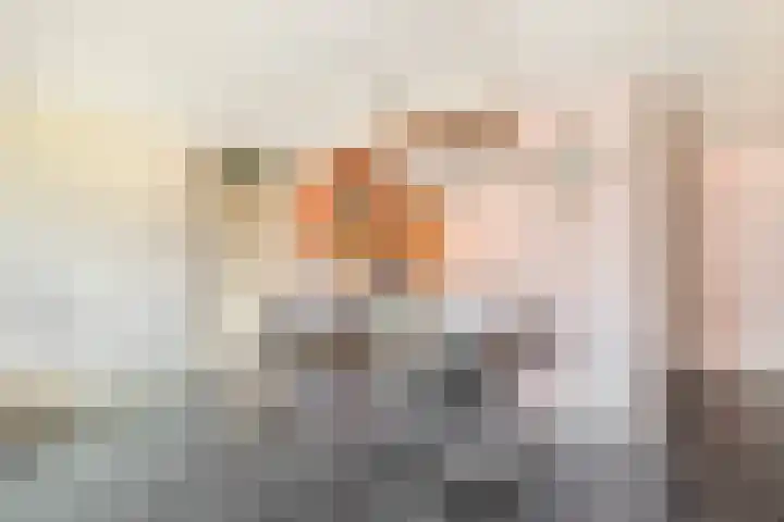 Dijkmanschans 150 Zoetermeer thumbnail 17