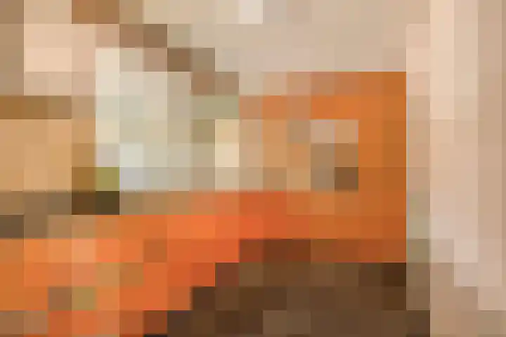Dijkmanschans 150 Zoetermeer thumbnail 19