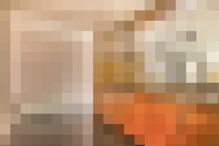 Dijkmanschans 150 Zoetermeer thumbnail 20