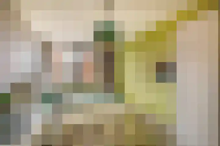 Dijkmanschans 150 Zoetermeer thumbnail 24