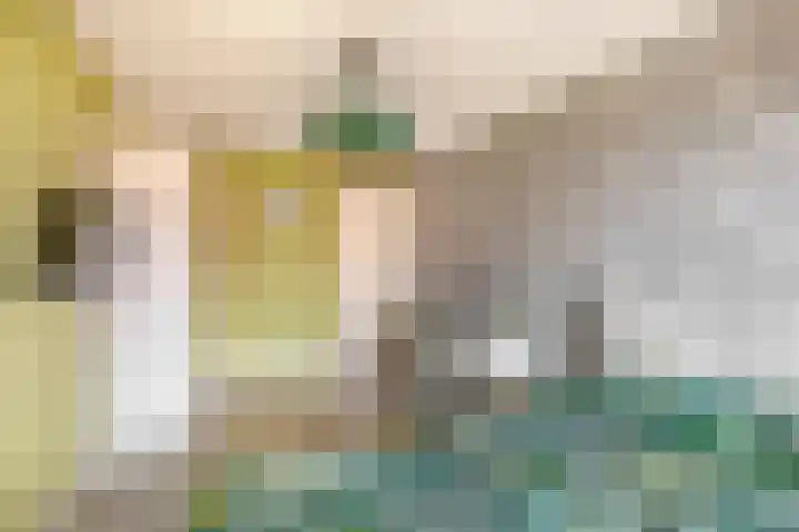 Dijkmanschans 150 Zoetermeer thumbnail 25