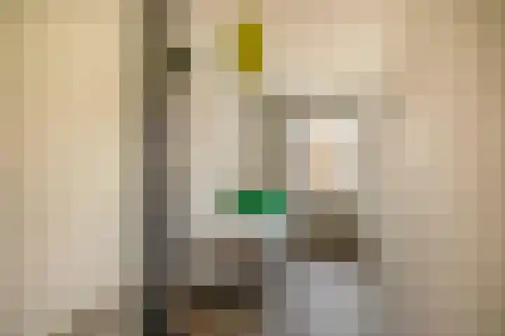 Dijkmanschans 150 Zoetermeer thumbnail 28