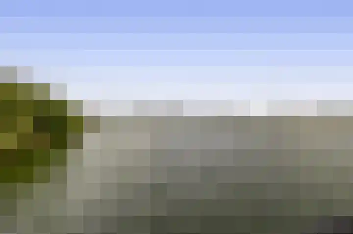 Dijkmanschans 150 Zoetermeer thumbnail 29