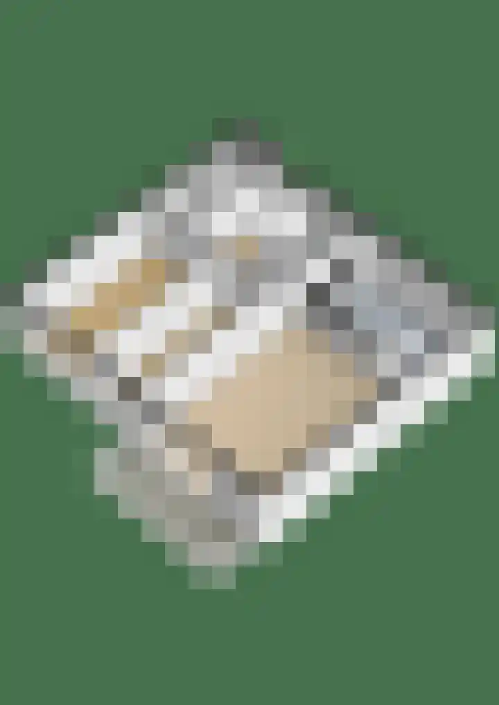 Dijkmanschans 150 Zoetermeer thumbnail 36