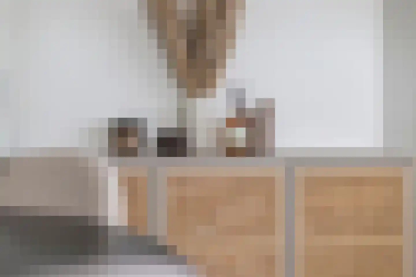 Dijkmanschans 156 Zoetermeer thumbnail 18