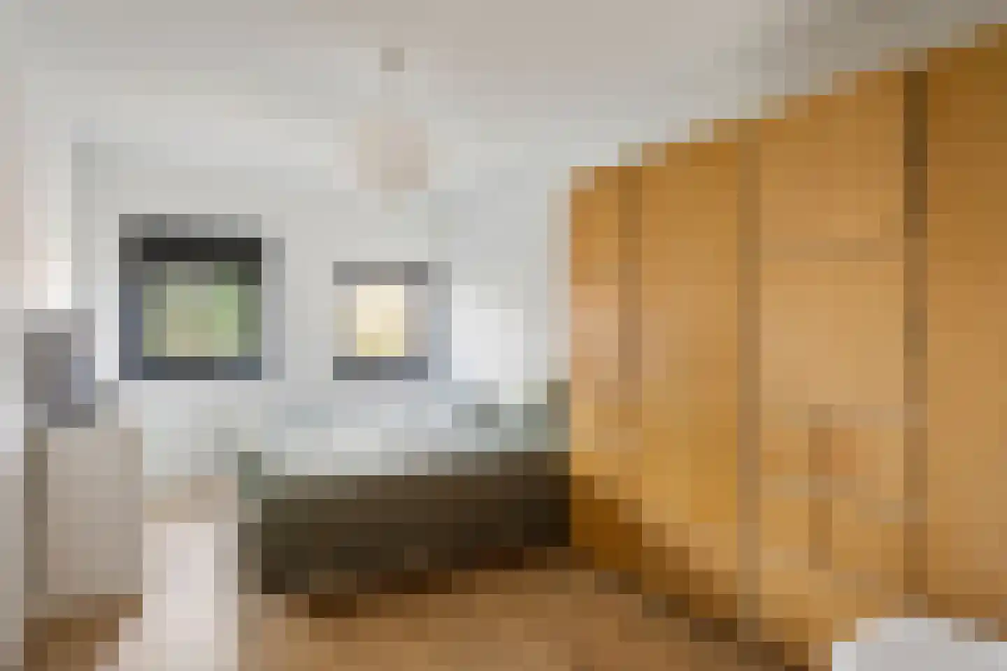Dijkmanschans 22 Zoetermeer thumbnail 18