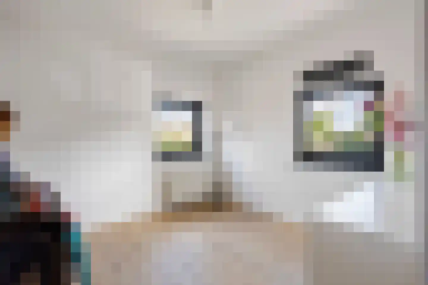 Dijkmanschans 22 Zoetermeer thumbnail 19