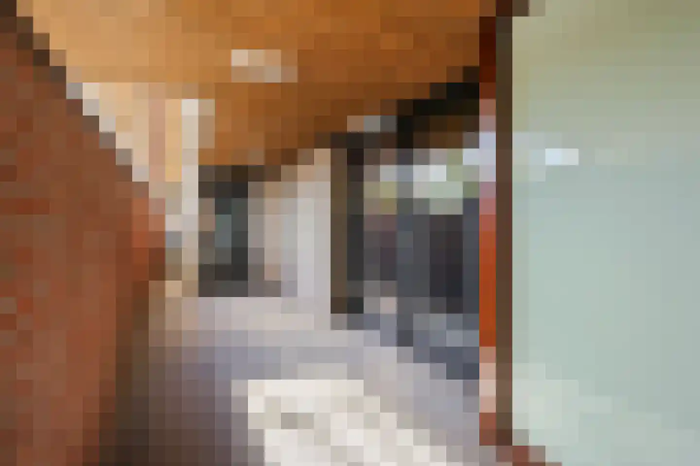 Dijkmanschans 22 Zoetermeer thumbnail 31