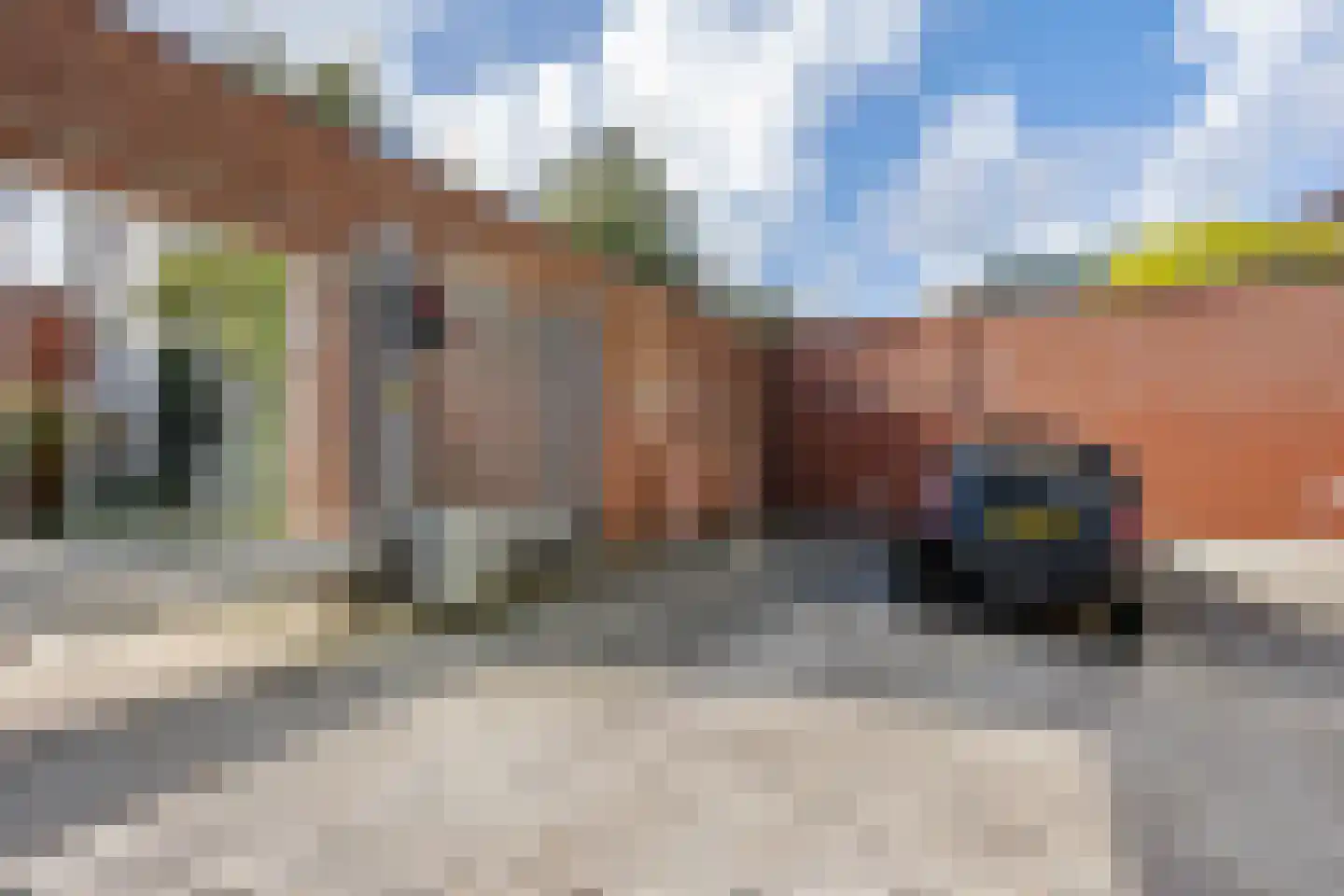 Dijkmanschans 22 Zoetermeer thumbnail 32