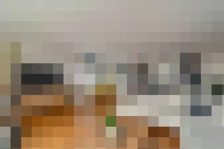 Dijkmanschans 26 Zoetermeer thumbnail 12