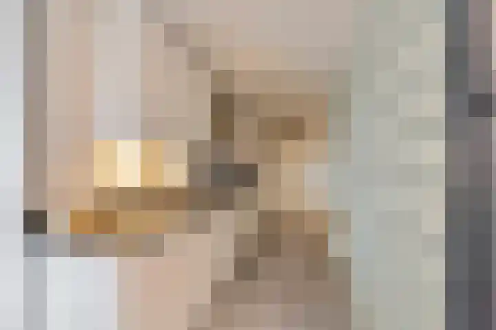 Dijkmanschans 26 Zoetermeer thumbnail 17