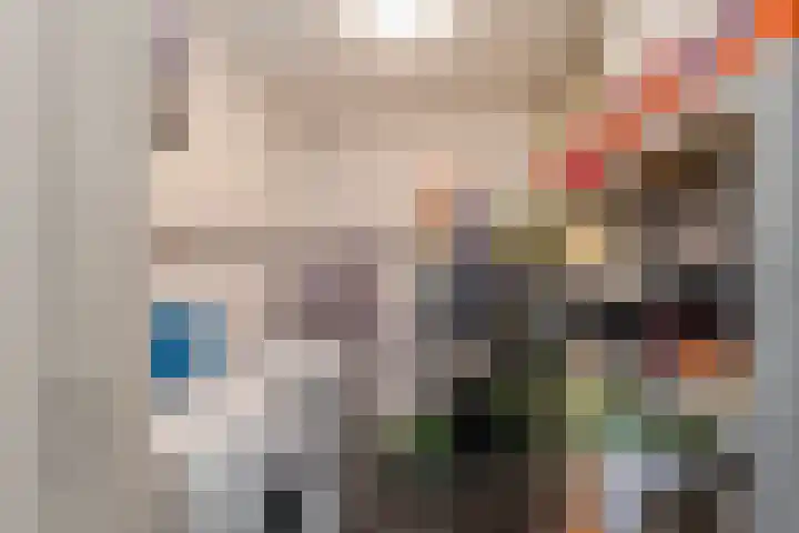 Dijkmanschans 26 Zoetermeer thumbnail 18