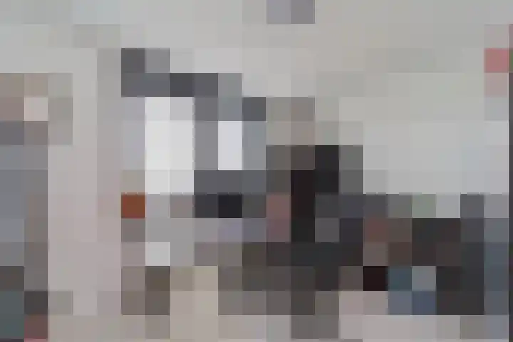 Dijkmanschans 26 Zoetermeer thumbnail 22
