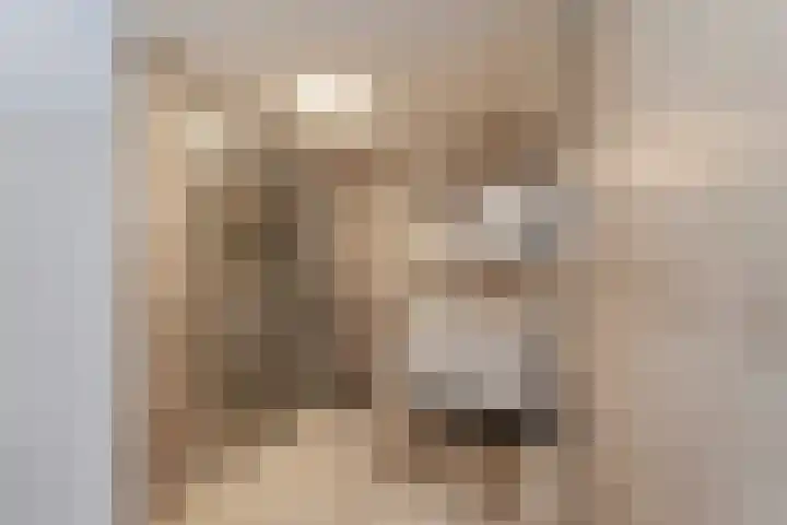 Dijkmanschans 26 Zoetermeer thumbnail 24