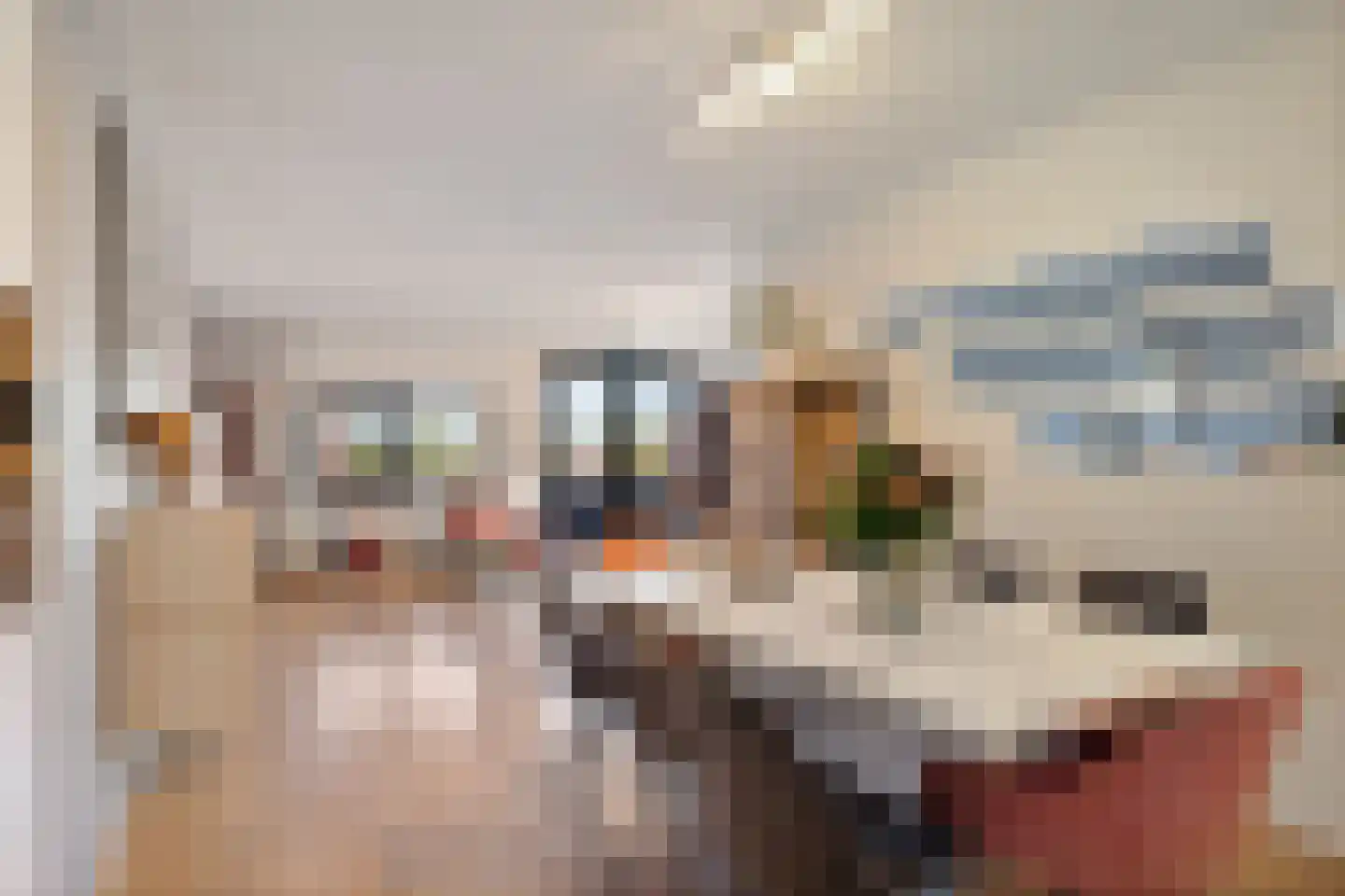 Dijkmanschans 32 Zoetermeer thumbnail 15