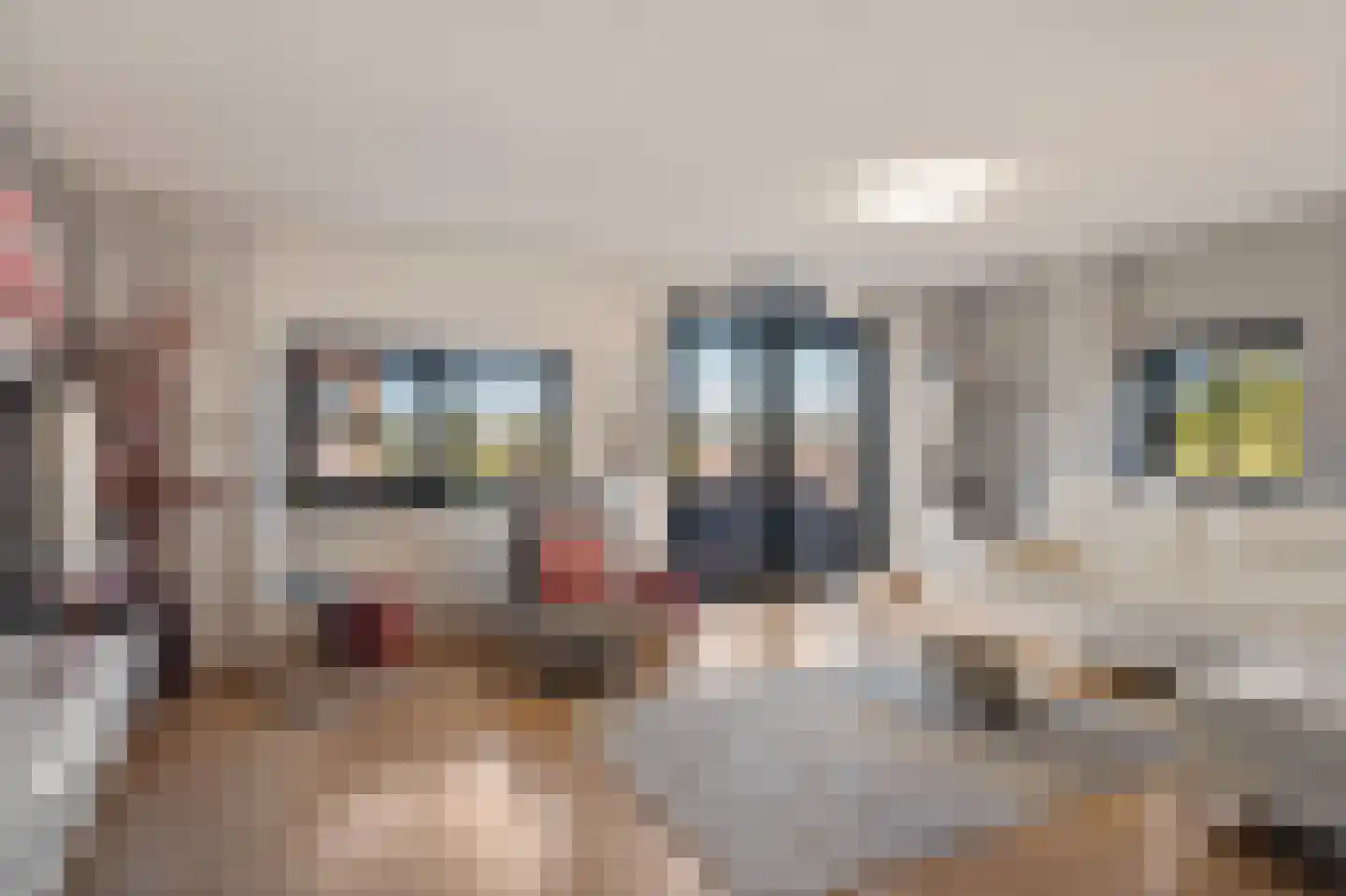 Dijkmanschans 32 Zoetermeer thumbnail 16