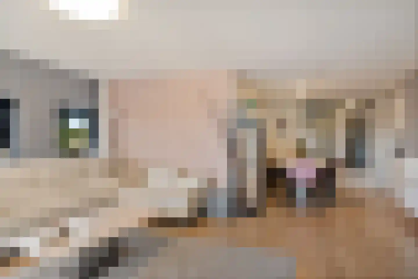 Dijkmanschans 32 Zoetermeer thumbnail 19