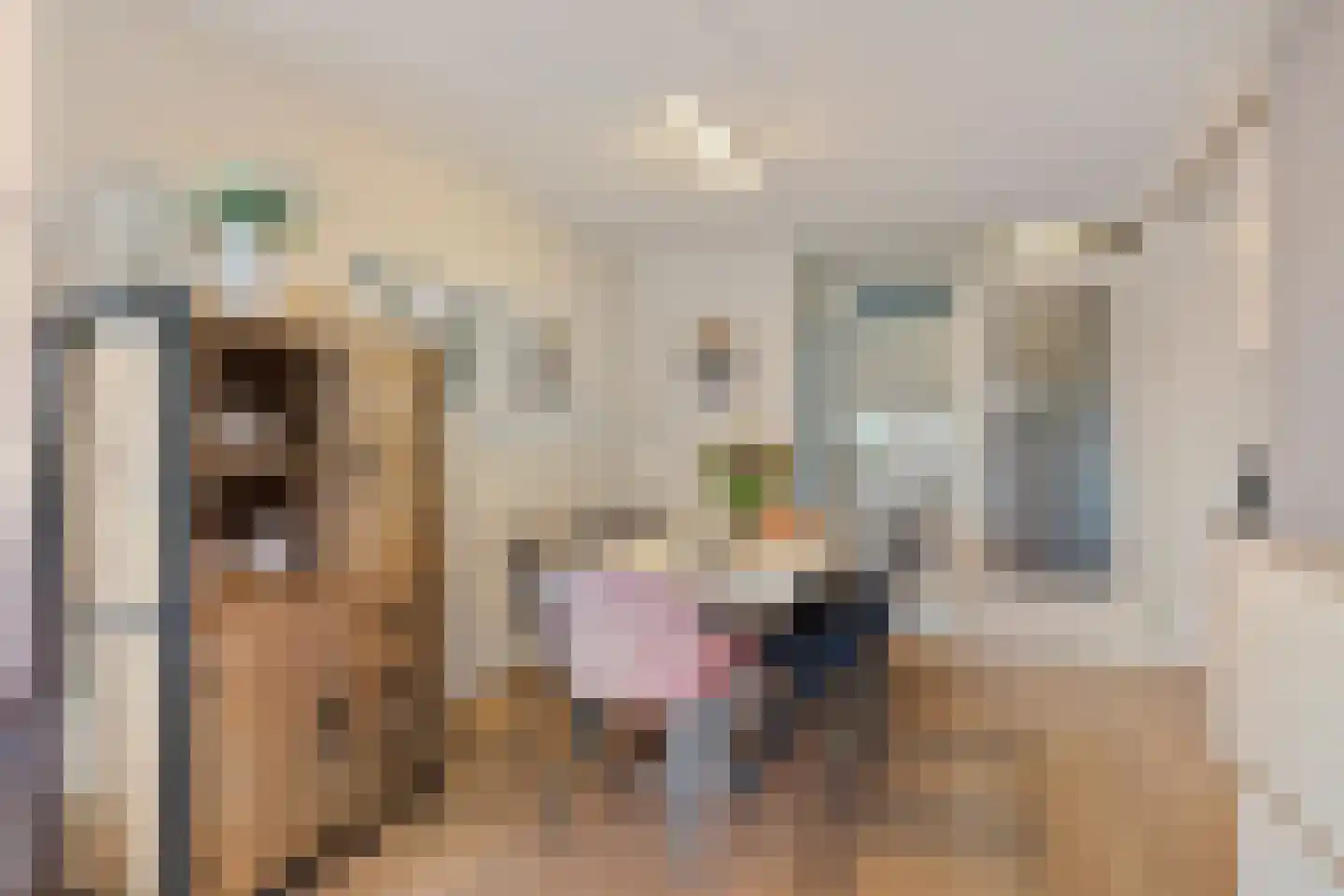 Dijkmanschans 32 Zoetermeer thumbnail 21
