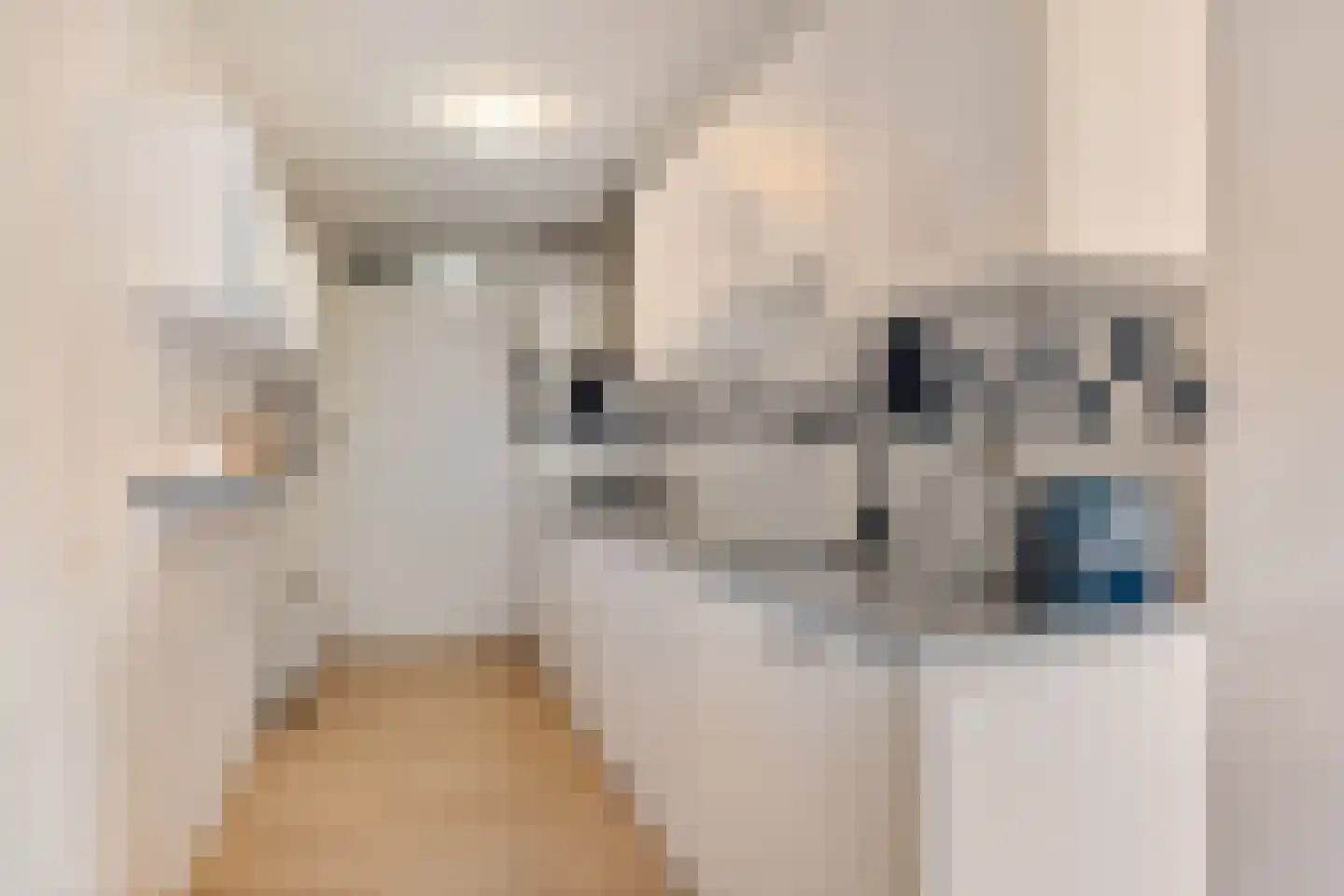 Dijkmanschans 32 Zoetermeer thumbnail 22