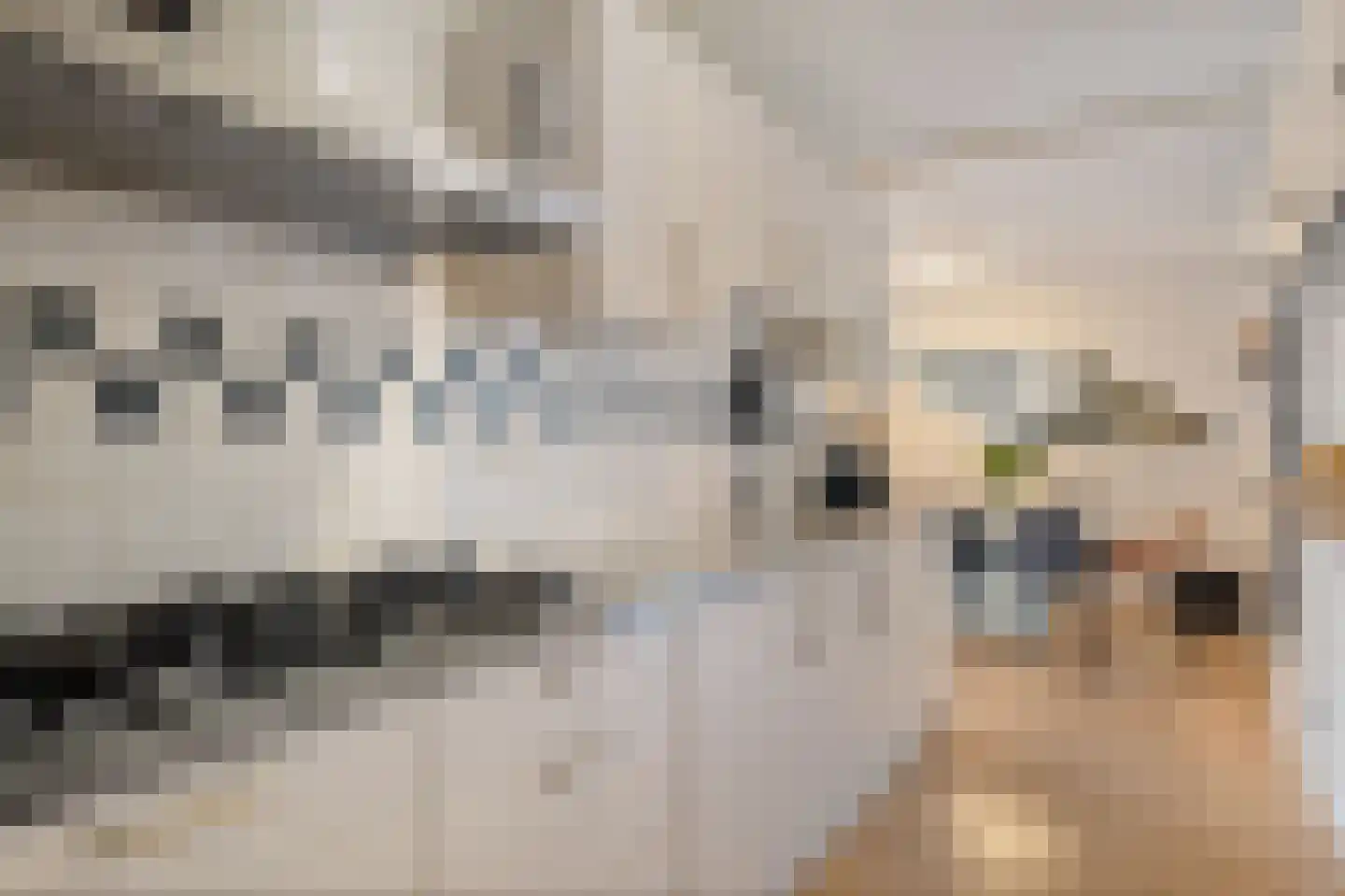 Dijkmanschans 32 Zoetermeer thumbnail 23