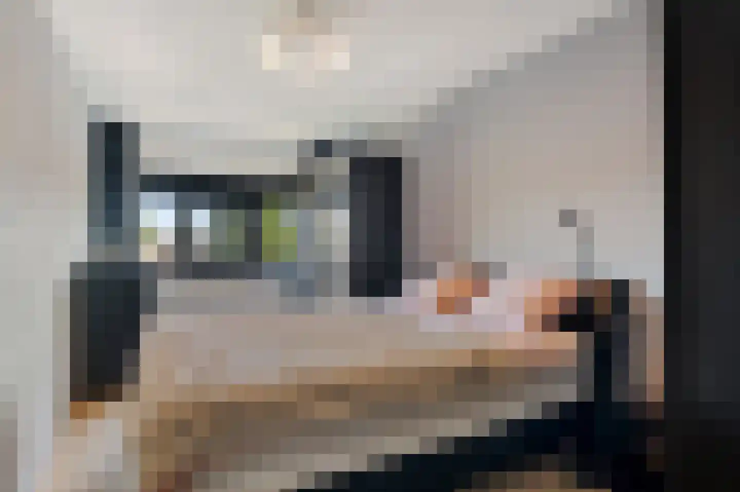 Dijkmanschans 32 Zoetermeer thumbnail 25
