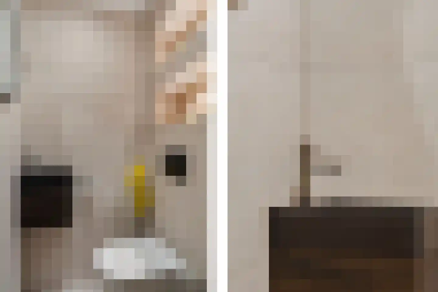 Dijkmanschans 32 Zoetermeer thumbnail 30