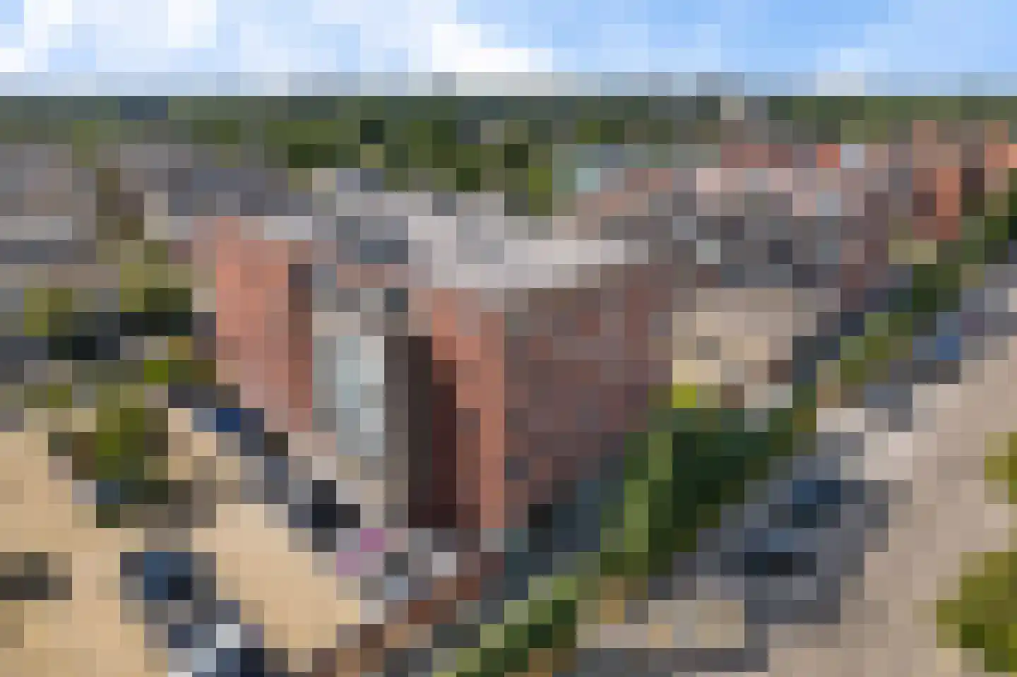 Dijkmanschans 32 Zoetermeer thumbnail 41