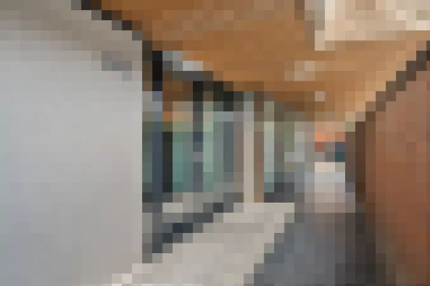 Dijkmanschans 32 Zoetermeer thumbnail 7