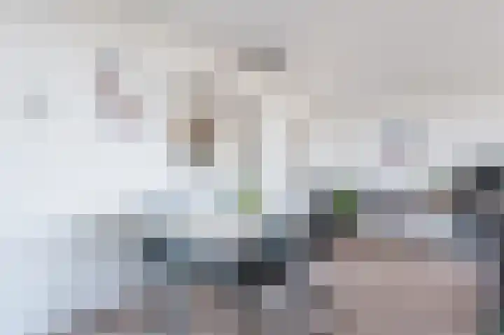 Dijkmanschans 36 Zoetermeer thumbnail 14