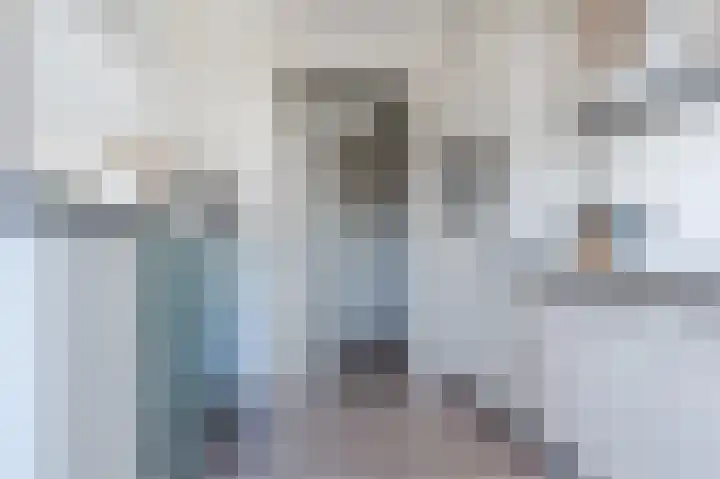 Dijkmanschans 36 Zoetermeer thumbnail 19