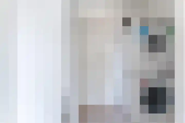 Dijkmanschans 36 Zoetermeer thumbnail 21