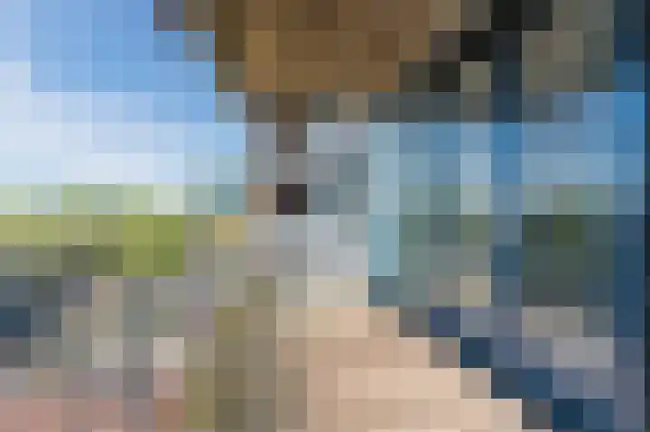 Dijkmanschans 36 Zoetermeer thumbnail 30