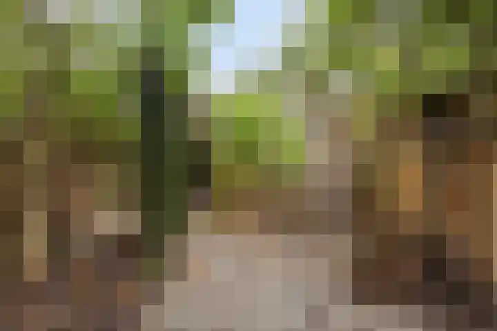 Dijkmanschans 43 Zoetermeer thumbnail 10