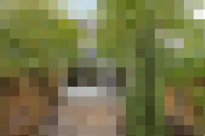Dijkmanschans 43 Zoetermeer thumbnail 12