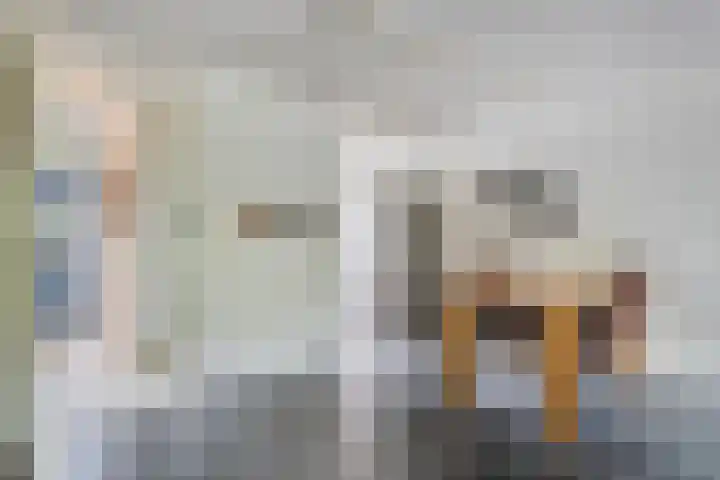 Dijkmanschans 43 Zoetermeer thumbnail 13