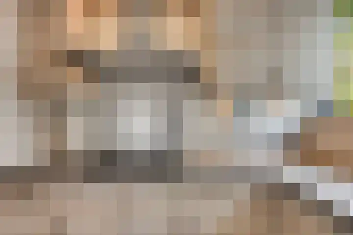 Dijkmanschans 43 Zoetermeer thumbnail 15