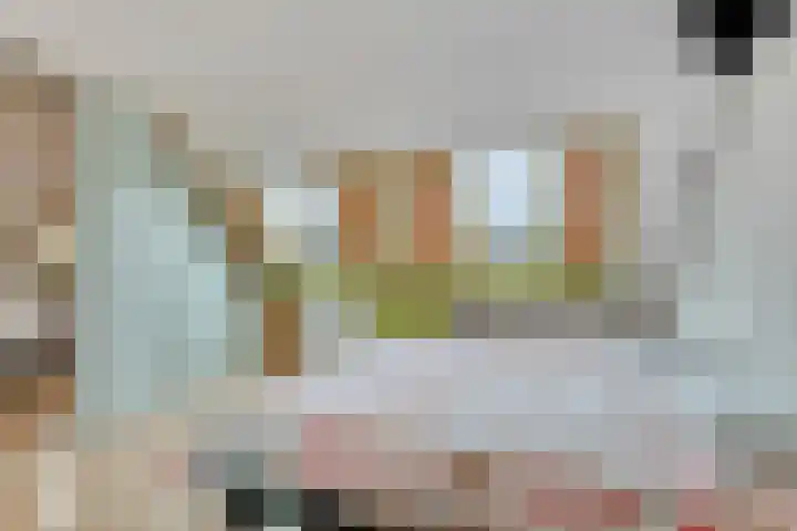 Dijkmanschans 43 Zoetermeer thumbnail 23