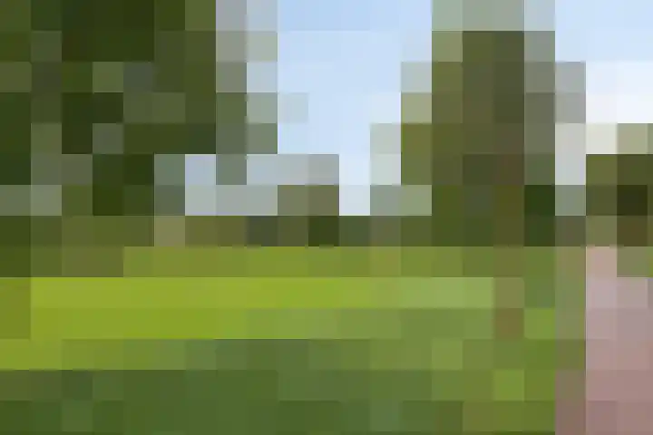 Dijkmanschans 43 Zoetermeer thumbnail 31