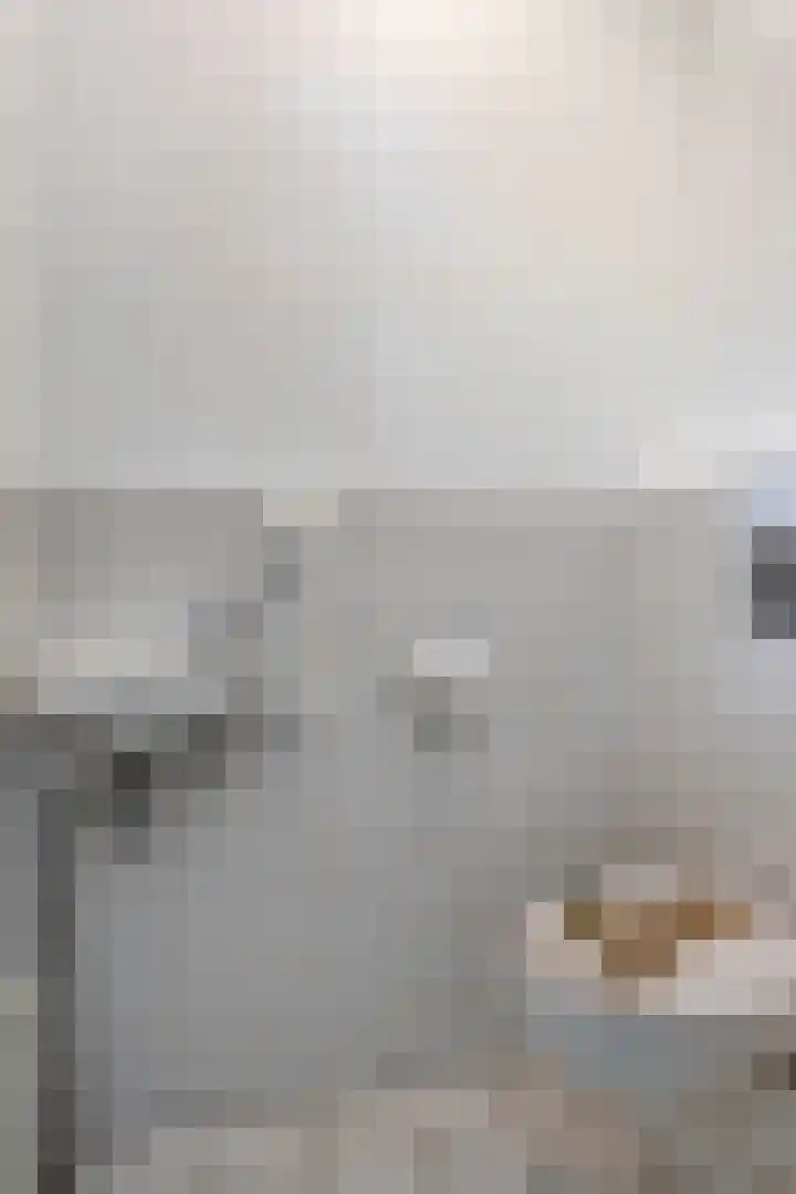 Dijkmanschans 43 Zoetermeer thumbnail 4