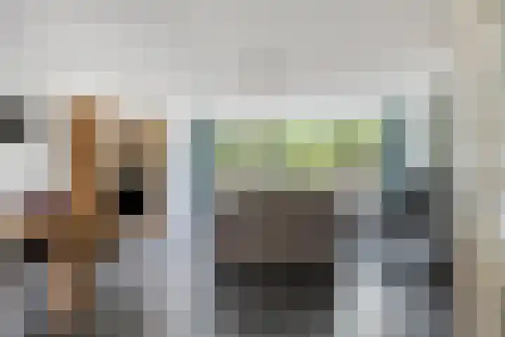Dijkmanschans 43 Zoetermeer thumbnail 5