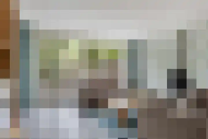 Dijkmanschans 43 Zoetermeer thumbnail 6