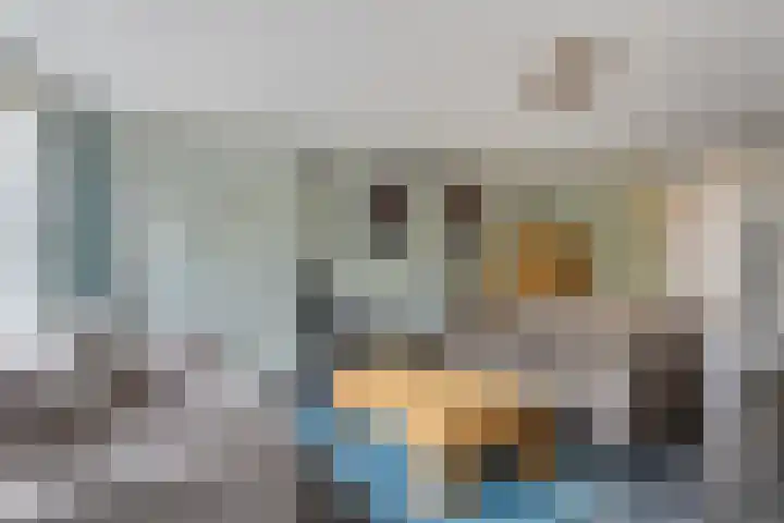 Dijkmanschans 43 Zoetermeer thumbnail 7